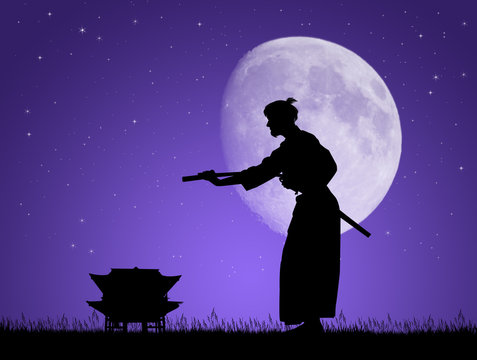 Aikido in the moonlight