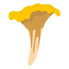 Chanterelle icon isolated © ylivdesign