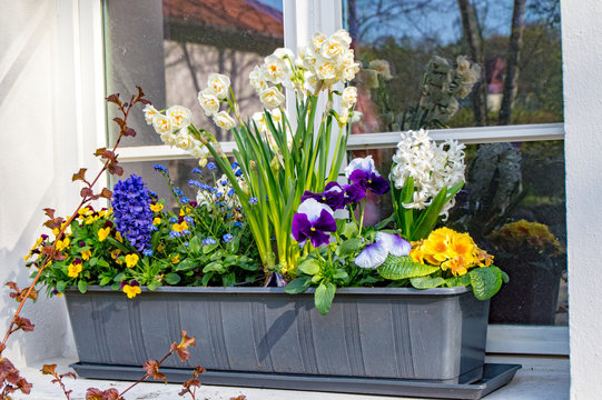 Flower box with various flowers
