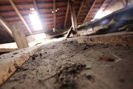 dachboden hausruine I
