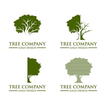 Green Tree Oak Logo Design Vector Template