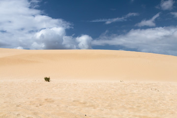 Fototapeta na wymiar Corralejo Sand Dune in Fuerteventura, Spain