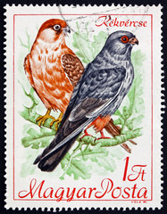 Postage stamp Hungary 1968 Red-footed Falcons, birds