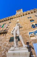 Michelangelo's David statue in Florence, Italy