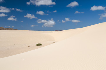 Corralejo Desert in Fuerteventura, Spain