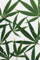 Naklejka na ściany i meble Marijuana leaves pattern.