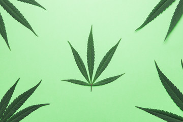 Marijuana leaf against a green background.