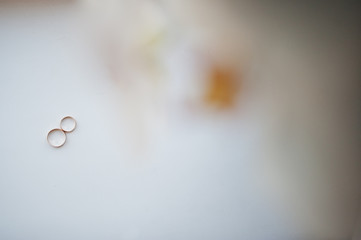 Two wedding golden rings at white background.