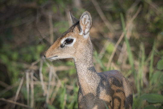 Shaxsiy fotosuratlar Tarozi qanday jinsiy aloqani yoqtiradi?