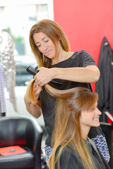 Fototapeta premium Hairdresser cutting hair of female client