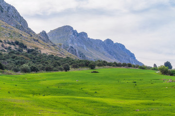 European Highlands. Sicilian Spring Landscape