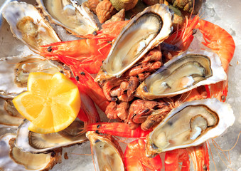 Plateau de fruits de mer © aterrom