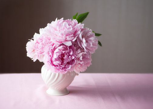 Double Peony Fresh Cut Flowers in vase with copy space.