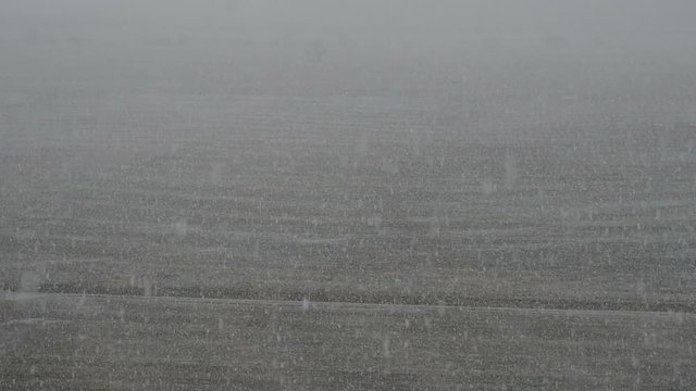 Slow monion, Snow falling in fields, winter background. Snowstorm, snowy weather.