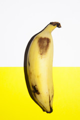 Single small banana, shot inside a studio.