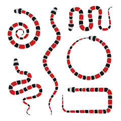 Fototapeta premium Wektor 3d ilustracja Coral Snake lub Micrurus na białym tle