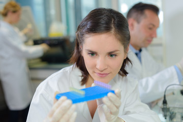 Female lab technician looking at samples
