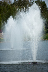 the fountains in the pond in the summer park