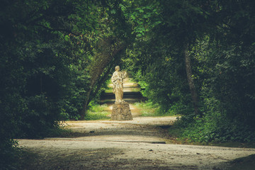 Nature path surrounded by trees in a forest