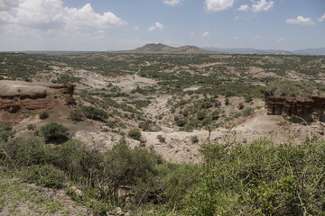Fototapeta na wymiar Olduvai Gorge, Tanzania