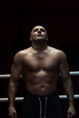 Obraz na płótnie Canvas portrait of muscular professional kickboxer