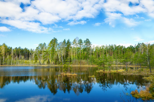 Clouds are reflected in the forest lake. Spring landscape. Masuria, Poland.
