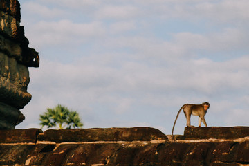 Angkor Wat