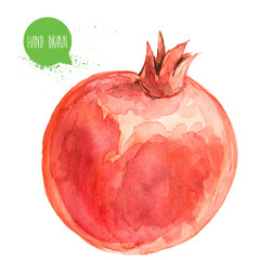 Hand drawn and painted watercolor pomegranate. Isolated on white background fruit illustration.