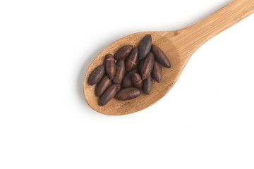 Brazilian Castanha de Baru Nut into a spoon