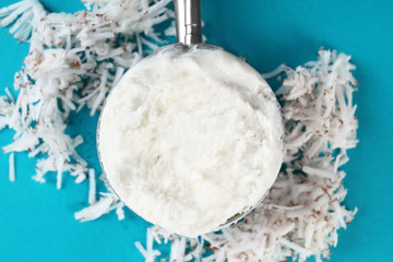 Metal scoop with fresh ice cream and heap of desiccated coconut on color background