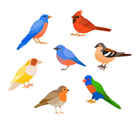 Obraz na płótnie Canvas A set of birds