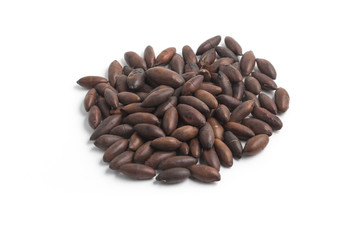 Brazilian Castanha de Baru Nut