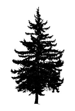 Silhouette of pine tree. Hand made.