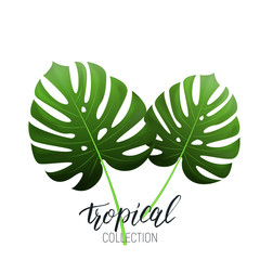 Tropical monstera leaves and calligraphy. Summer banner design layout