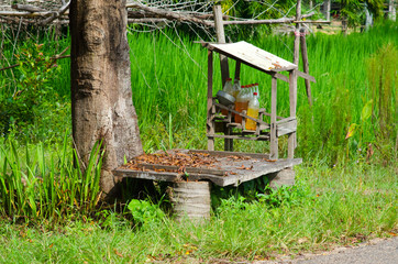 Petrol inside bottles on the road in Cambodia