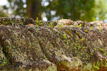 Ancient wall texture close up, Cambodia