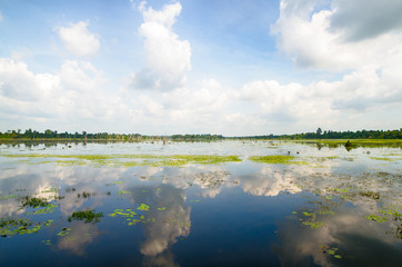 Artificial lake with bare trees around Neak Pean at Angkor in Cambodia
