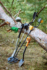 Search for treasure using a metal detector and shovel.