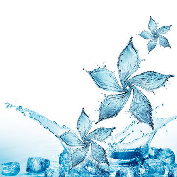 Fototapeta flower made of water splash