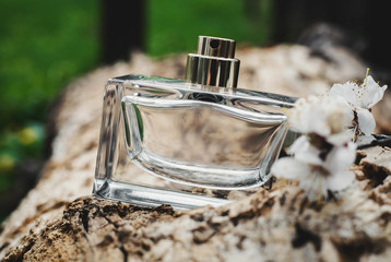  perfume and flowers on wooden background