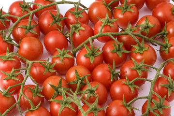 Cherry tomato, isolated on white background