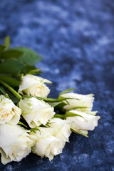 Fresh white roses flowers on blue painted wooden background, selective focus