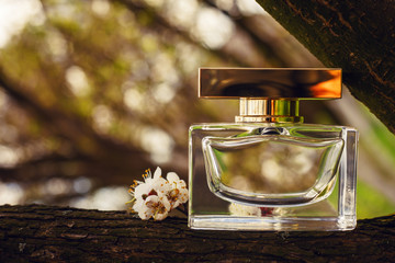  perfume and flowers on wooden background