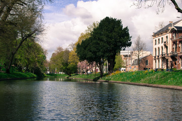 green landscape view with grass water and blue sky