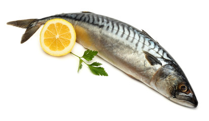 Naklejka premium atlantic mackerel fish with lemon isolated on white background