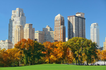 Naklejka premium Central Park Autumn