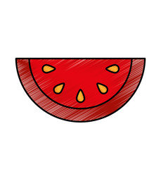 melon fresh fruit icon vector illustration design