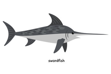 Obraz premium Swordfish -large predatory sea fish, the fastest floating on our planet