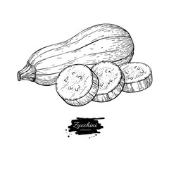 Zucchini hand drawn vector illustration. Isolated Vegetable engraved style object with sliced pieces.