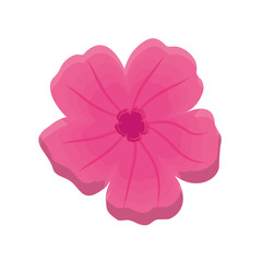 tropical flower icon over white background. colorful desing. vector illustration